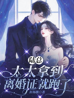 Lục Tổng, Vợ Ngày Vừa Cầm Được Giấy Ly Hôn Liền Chạy Mất